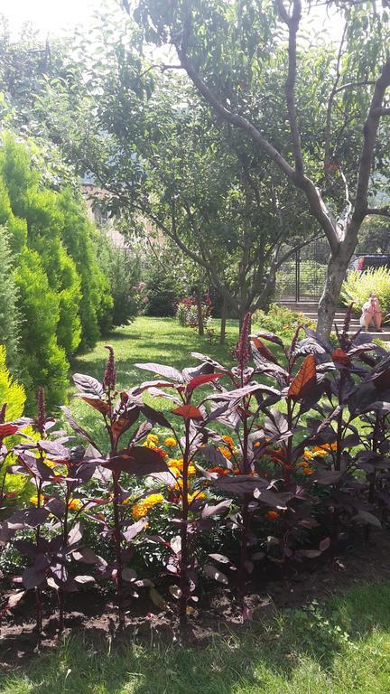 Kyurkchievi Guest House Sapareva Banya Luaran gambar