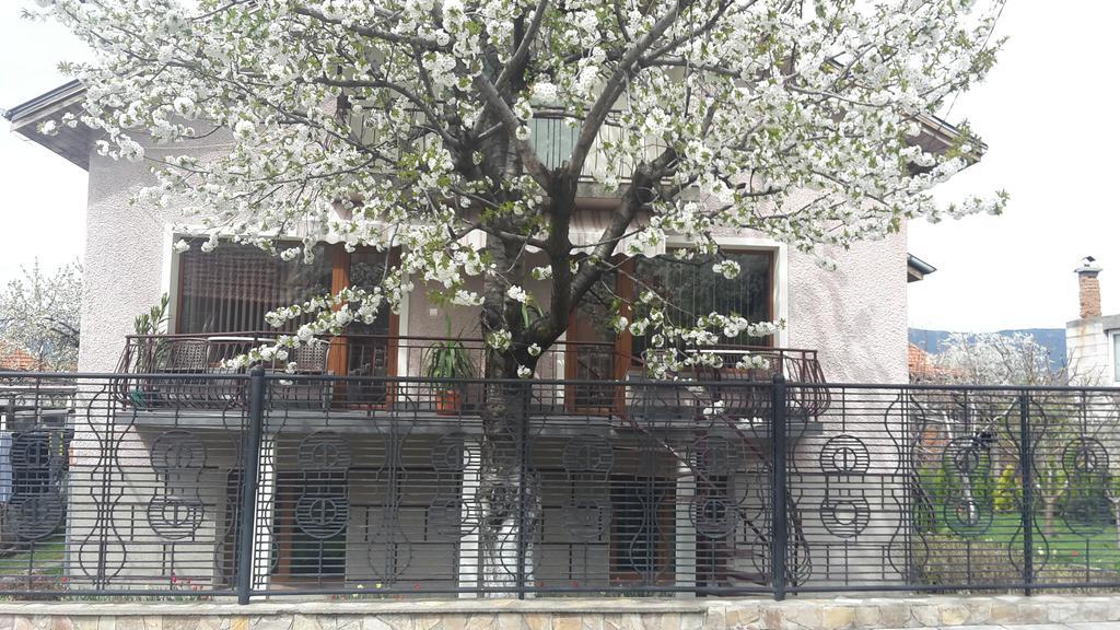 Kyurkchievi Guest House Sapareva Banya Luaran gambar