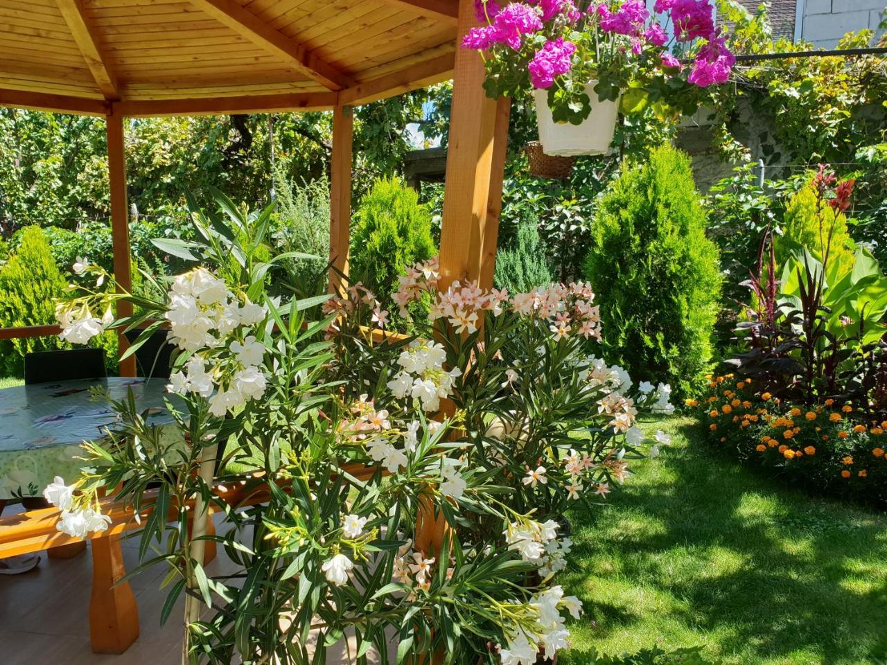 Kyurkchievi Guest House Sapareva Banya Luaran gambar