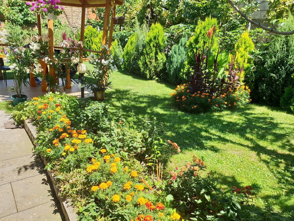 Kyurkchievi Guest House Sapareva Banya Luaran gambar
